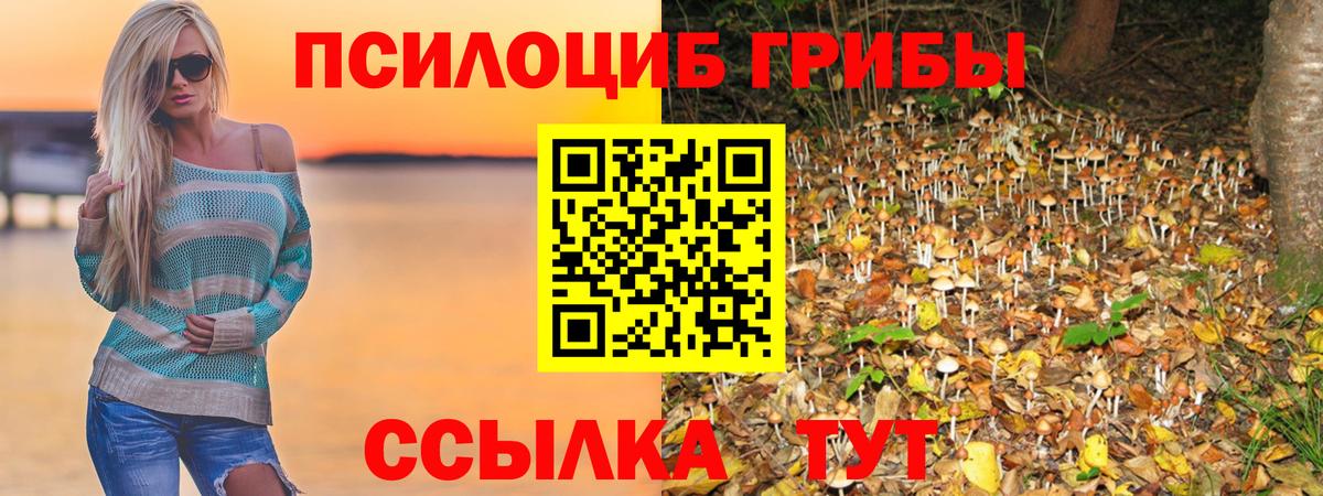 Псилоцибиновые грибы мухоморы Ялта