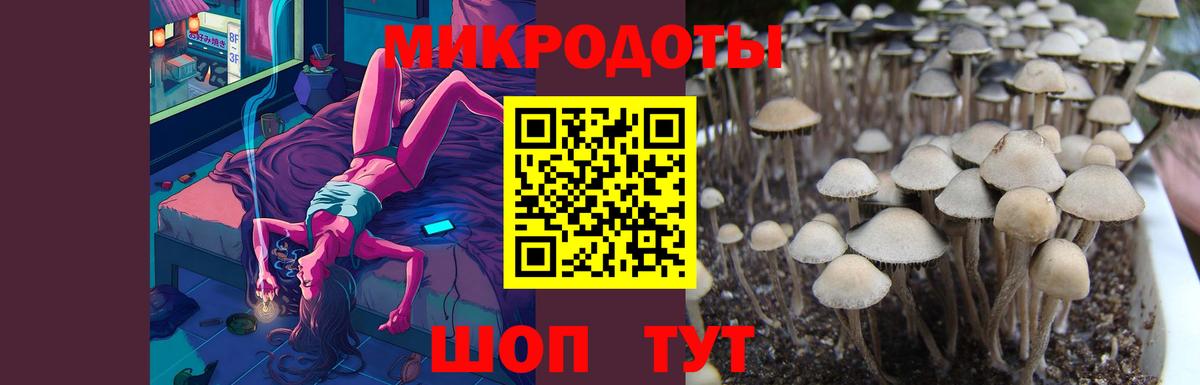 Галлюциногенные грибы Psilocybe  Вход с VPN  Ялта 